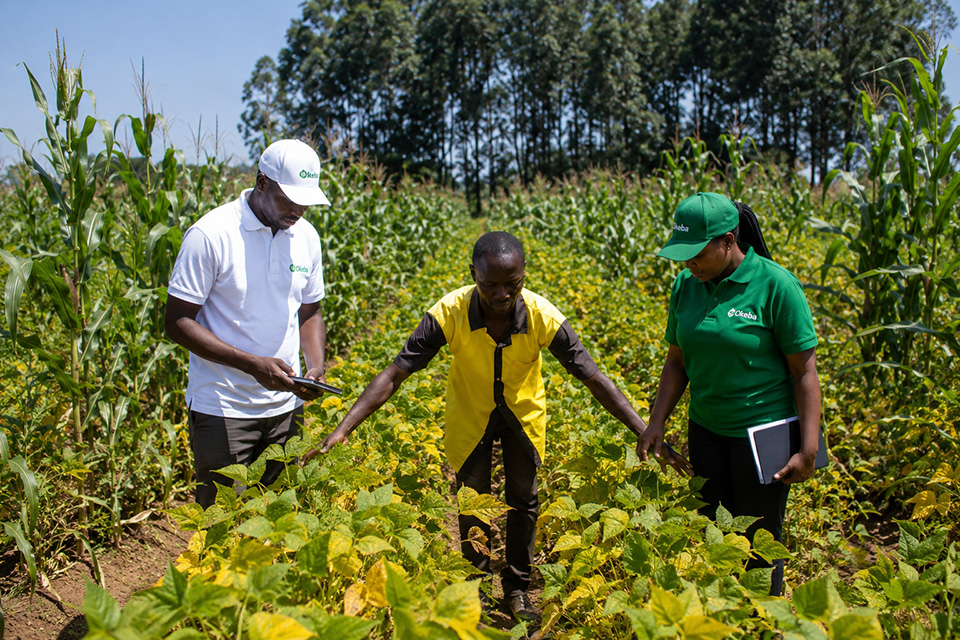 Asiimwe Benjamin Farm