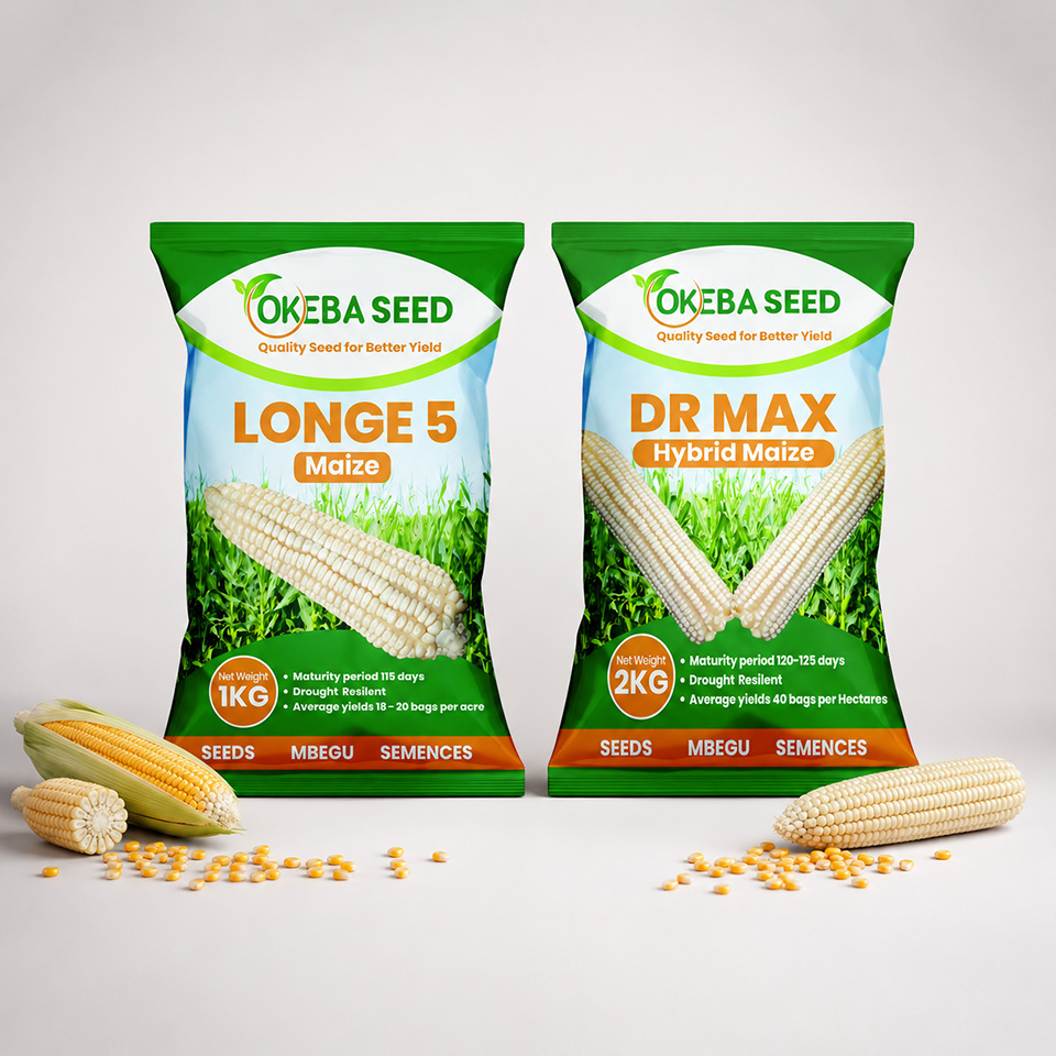 OKeba certified seed packages and seed handling activity